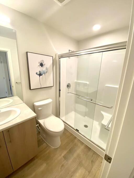 Lovely Brand New Suite Sidney Exterior photo